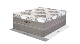 Sleepmasters Goa 152cm (Queen) Firm Bed Set