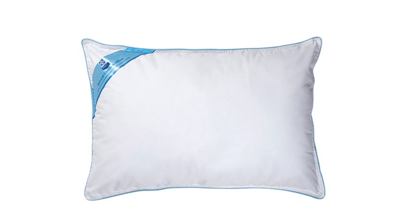 Sealy Natural Comfort Pillow